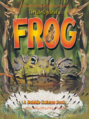 cover image of The Life Cycle of a Frog
